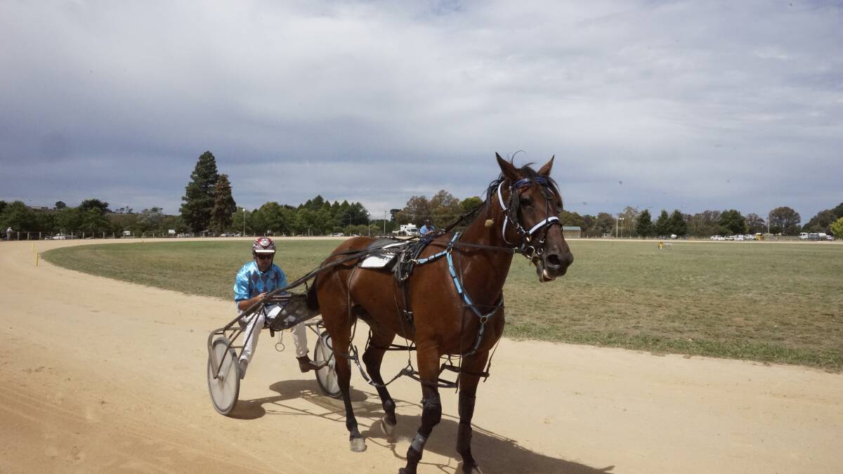 Crookwell Show harness racing gallery by Paul Anderson
