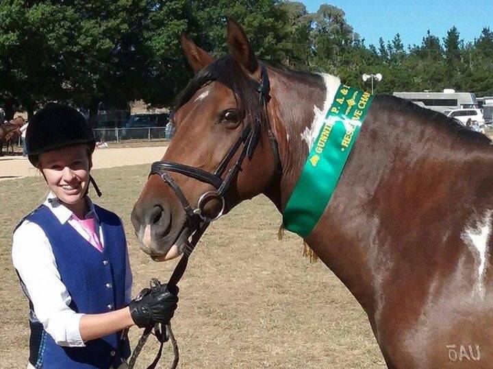  
Shannon Robertson of Providence Walers in Murringo won Rider of the Year on her Jerrawa bred Waler TruBlu Tapestry
