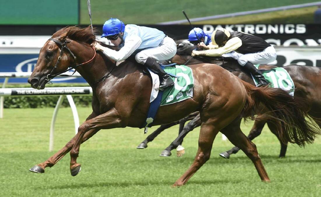 WILD CARD: All Summer Long scores at Royal Randwick – the chestnut should take some stopping in next Sunday’s Wild Card at Muswellbrook.  Picture by Bradley Photographers