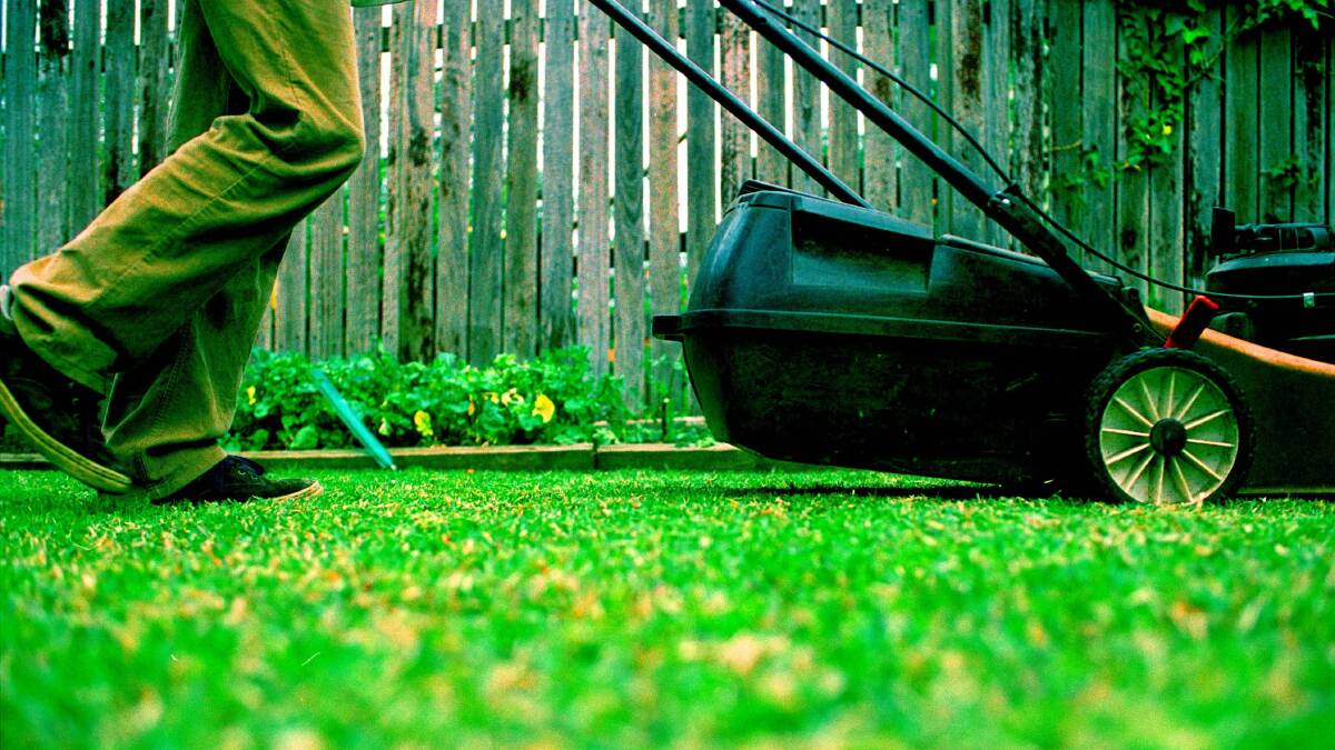 Mown down: Lawns do best when they are cut before they promote more weeds, but not cut too short either, losing soil moisture and making it vulnerable to wear.