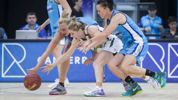 Canberra Capitals recruit Kathleen MacLeod - sandwiched by former Caps players Abby Bishop and Kristen Veal - is in doubt for the WNBL season. Photo: Matt Bedford