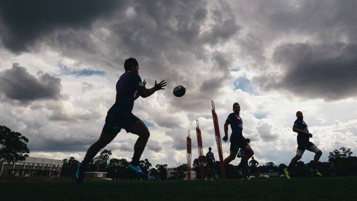 Brumbies training on Monday afternoon Photo: Rohan Thomson