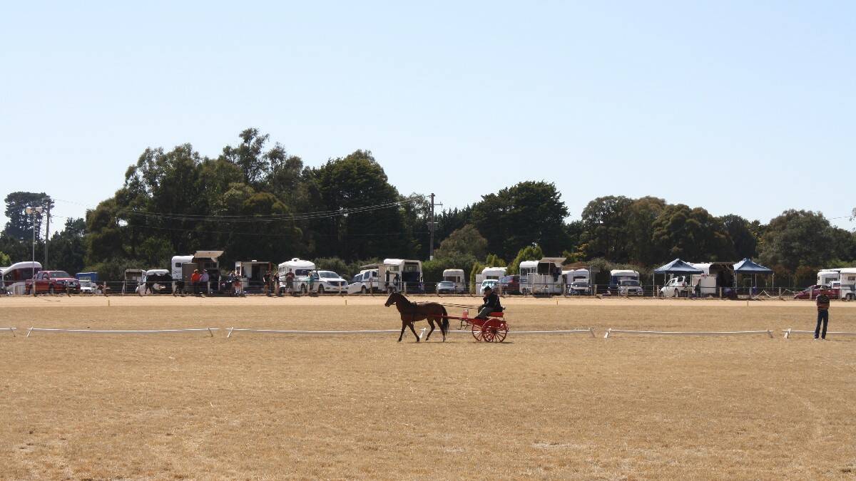 Photos from the 2014 Crookwell Show, Sat Feb 8 to Sun Feb 9 | Photos BRONWYN HAYNES and available from Crookwell Gazette 4832 1007.