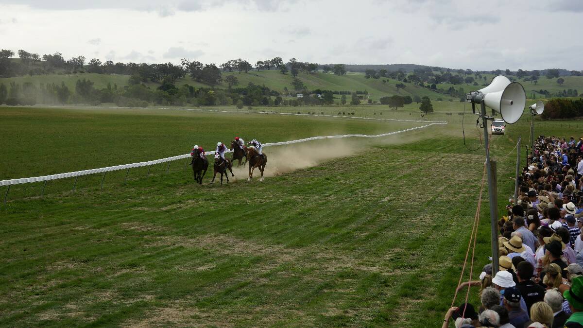 Binda Picnic Races 2014 | Photos available from the Crookwell Gazette