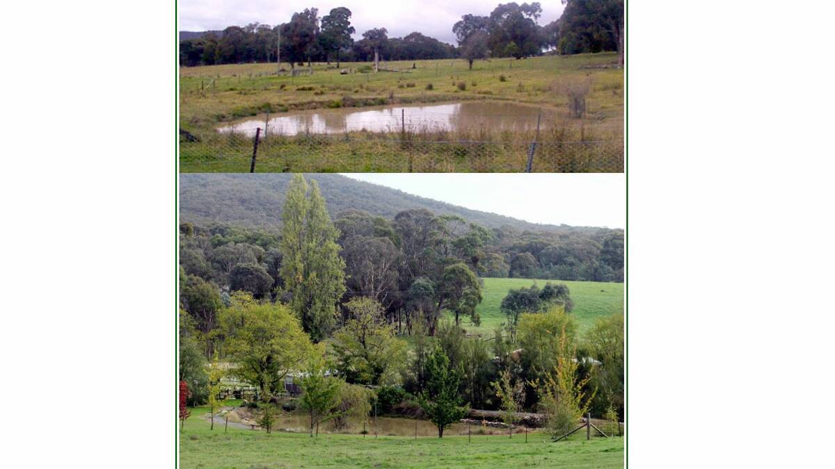 WHEN we bought our property of 6.5 acres 12 years ago, the one and only very small dam was basically a muddy ‘hole in the ground’ in the middle of a paddock