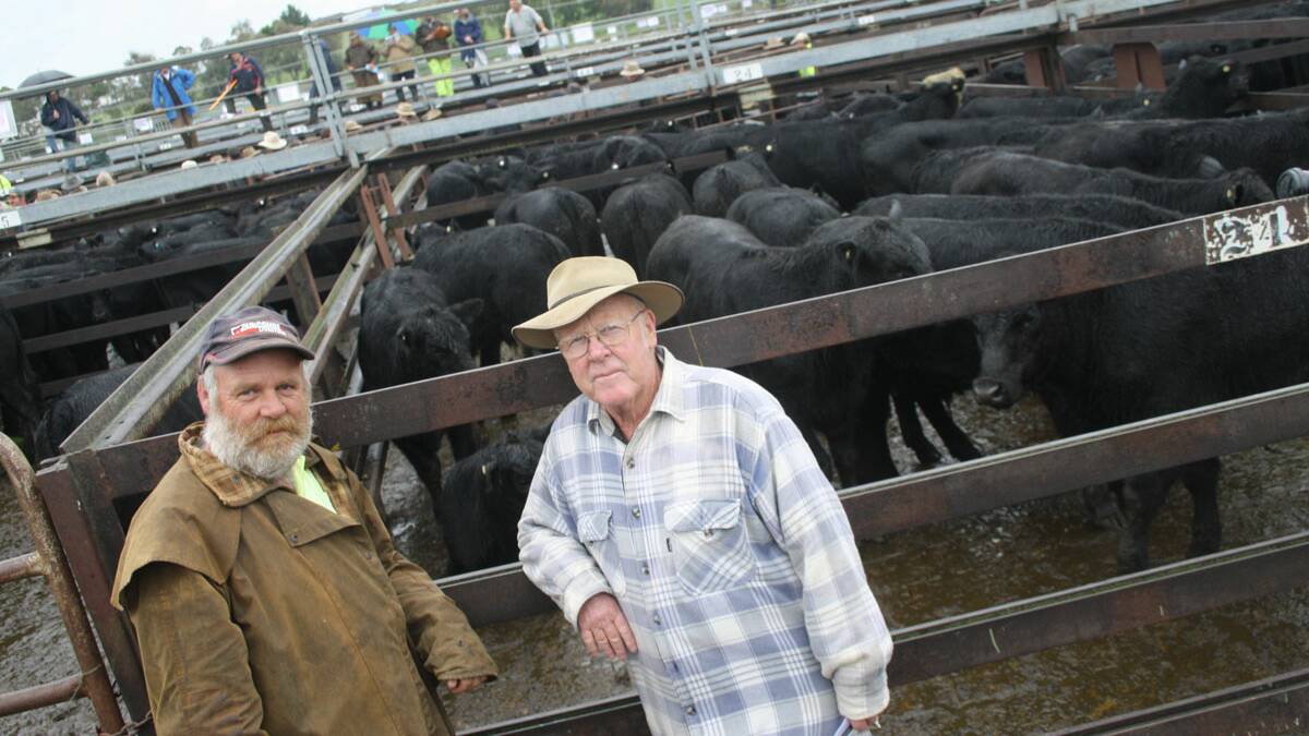 Graham and Lenny Johns, Carrawongy Pastoral Co., Roslyn, sold two lots of Angus steers to a top of $680 at last week's 46th annual Goulburn/Crookwell weaner and grown cattle sale