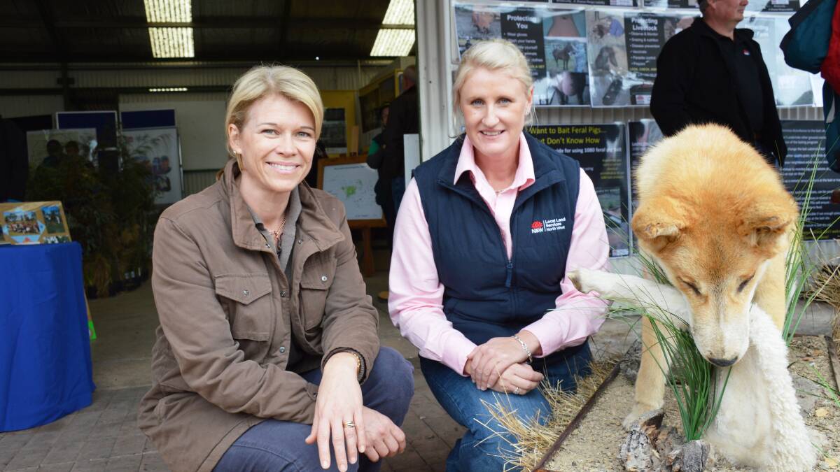  NSW Minister for Primary Industries, Katrina Hodgkinson, talks with North West Local Land Services Team Leader Invasive Species and Plant Health, Jackie Barker, about wild dog management programs at AgQuip in Gunnedah today
