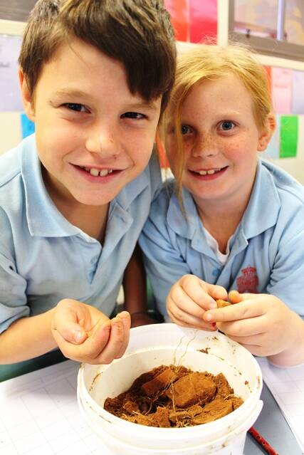 Science in 3/4H: This term in science, students in 3/4H have been exploring what is beneath the surface of the world. Students have been busily studying soil and rock samples from around the district and asking the question, how far beneath the surface has it come from? Eli Stewart and Claire Collins discover the properties of basalt soil.