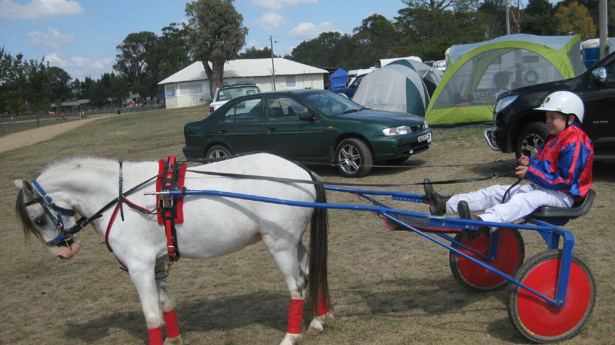  9yo Corey Shadlow competed at the Mini Trots Championship in Gunning driving his pony Top Gear.