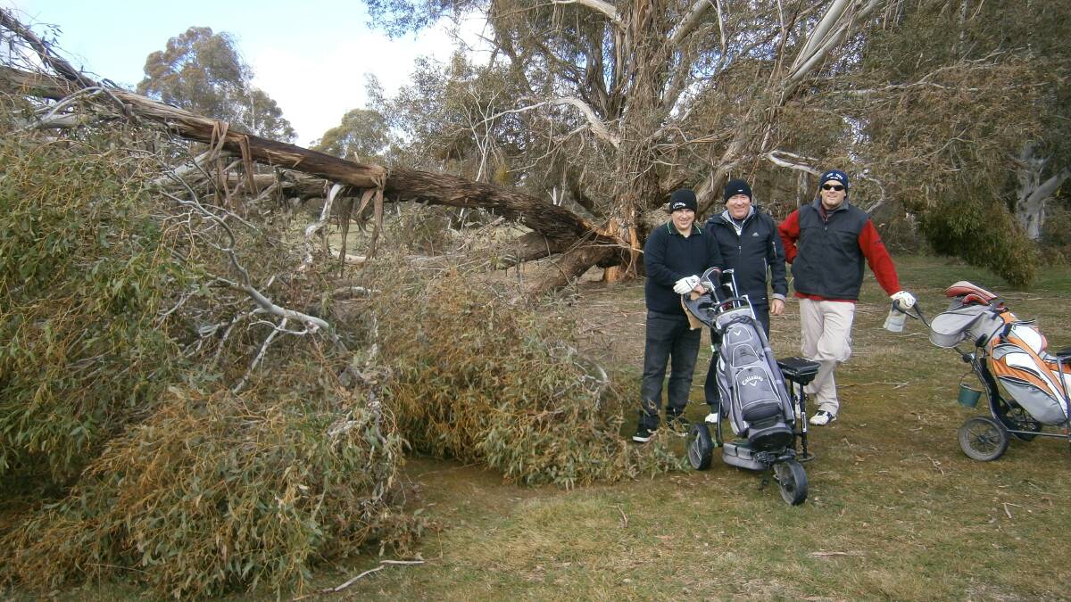 The Crookwell golf course was a scene of devastation following the “big snow” - a scene that was replicated many hundreds of times over along Upper Lachlan roads, in properties and in gardens throughout the higher areas. The golf course suffered heavy losses of large trees and branches, and the volunteers who maintain the course have a big job in front of them. While the wreckage didn’t stop golfers enjoying their golf on Saturday there were a number of “no-go” areas marked out considered too dangerous to enter - even to retrieve an errant golf ball. These three intrepid golfers are Dan Costello, Jamberoo visitor Tom Persson and Club Captain Michael Secomb