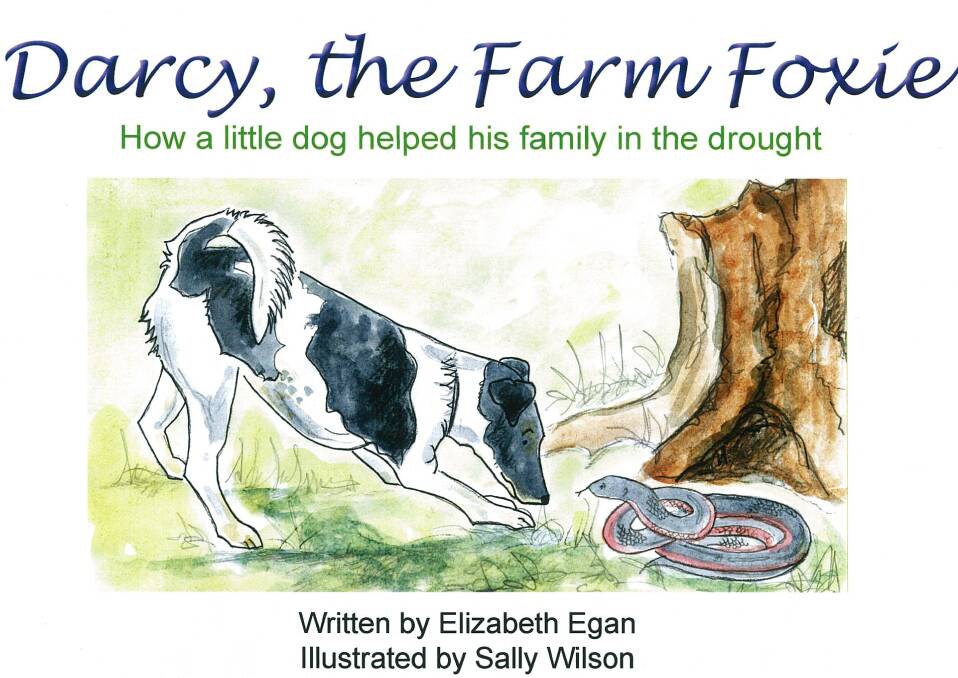 The cover of the recently written children's book by Elizabeth Egan. The book is beautifully illustrated by renowned artist Sally Wilson of Laggan.