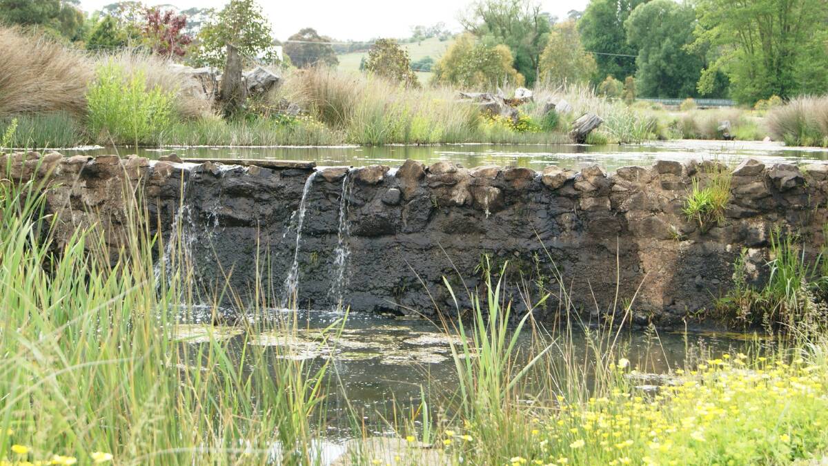 This photo was taken November 2014 of the weir in the centre of Kiamma Creek below the proposed sensory garden and barbecue area.