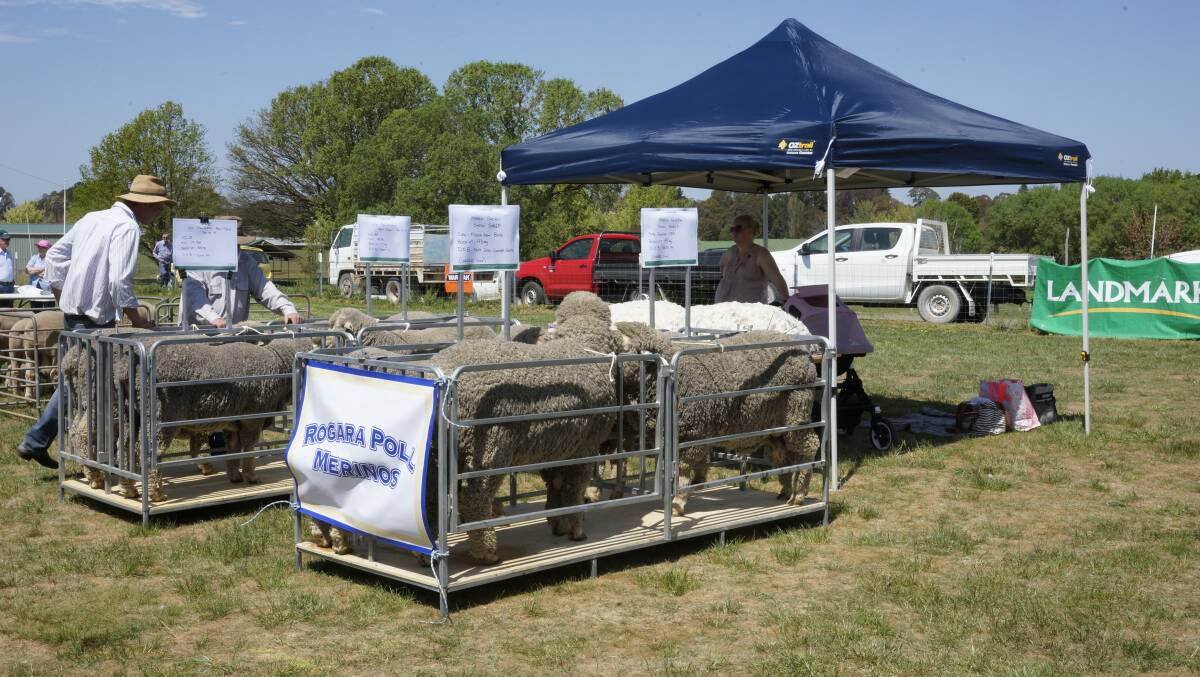 20 Local Studs took part in the annual Ram Field Day held in Crookwell recently.