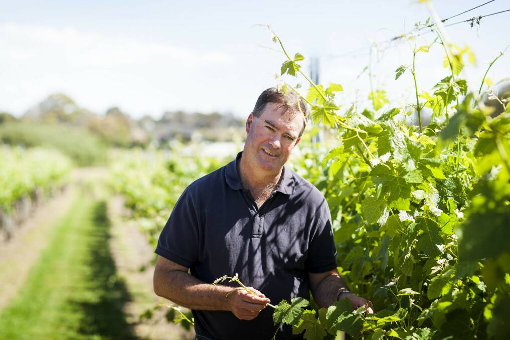 Tim Kirk Chief Winemaker, Clonakilla. PHOTO Visit Canberra