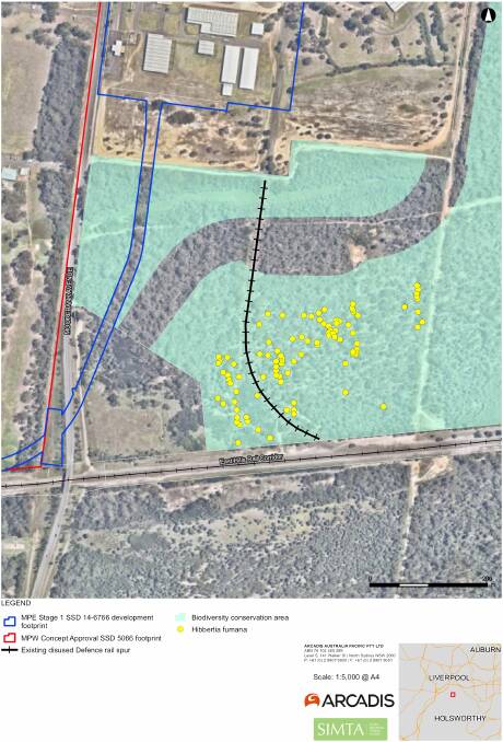 Map showing the hibbertia fumana plants in relation to the Intermodal development and the existing disused railway line. Map: supplied on behalf of SIMTA