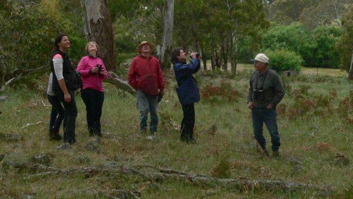 Members of the Roslyn Landcare group with Niki Taws, greening Australia (second from right) surveying bird activity on Paul Dawson's property ‘Highlands’