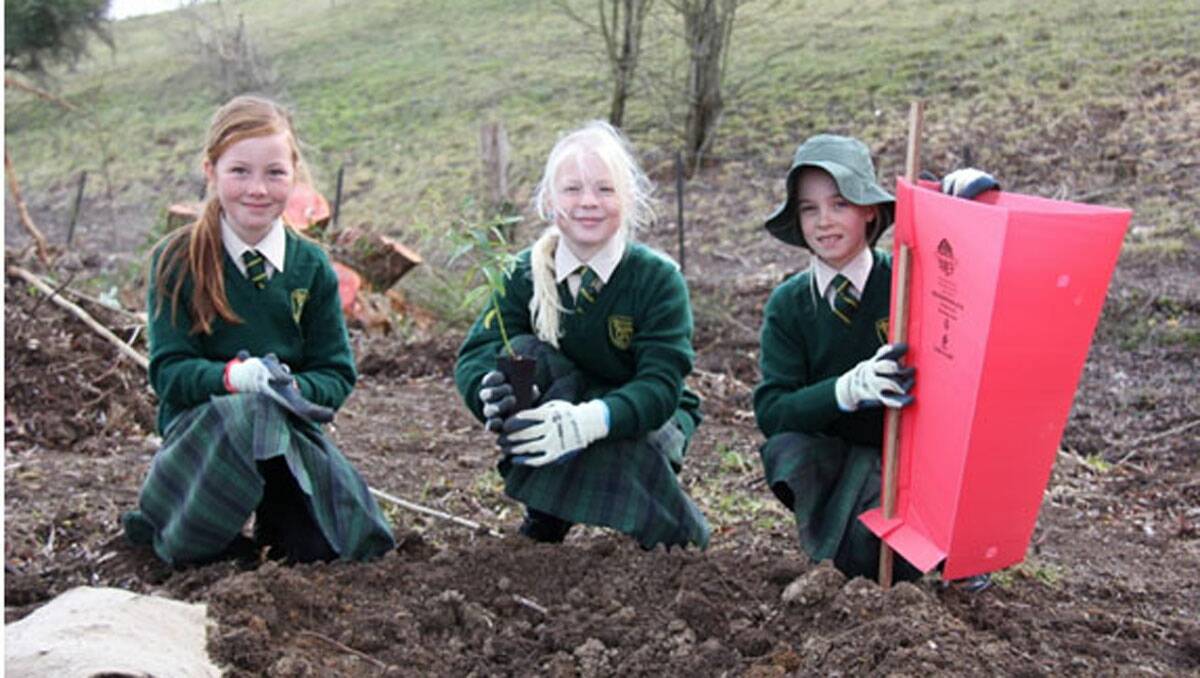 Meg, Alex and Georgia, had the tree planting technique mastered in minutes and with careful hands treating the trees with love and care.