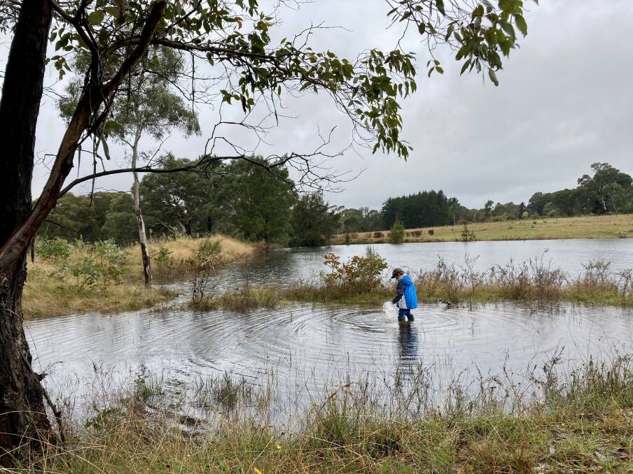 Christo, age 5, from Berrima, inspecting new waterways and playing in the recent deluge. Picture: Tanya Galwey