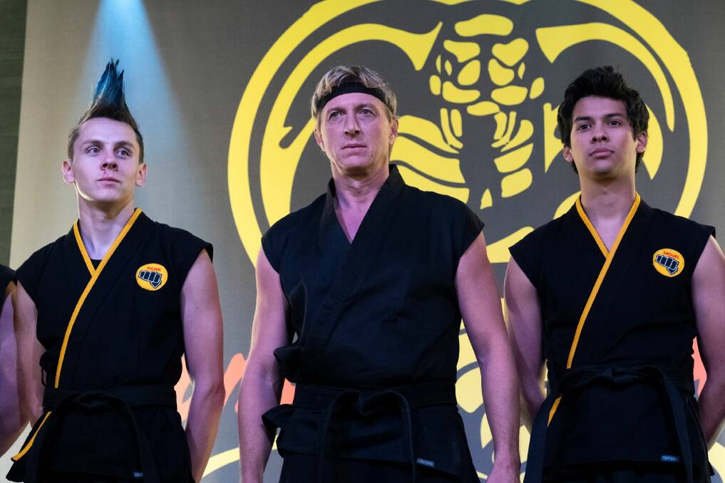 WILD FUN: Cobra Kai appeals to fans of The Karate Kid and a younger audience.