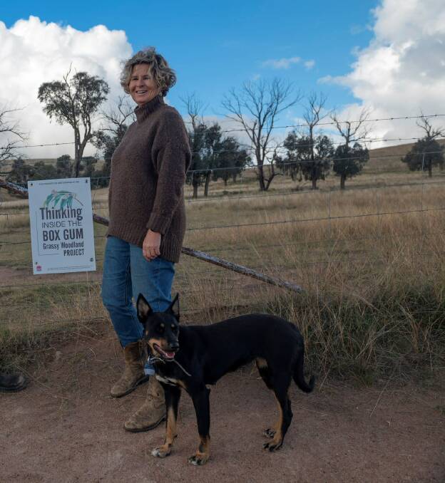 OPPOSED: Upper Lachlan Shire Mayor Pam Kensit says she cannot support the Goulburn to Crookwell rail trail in the current economic climate and given the council's existing challenges. Photo supplied. 