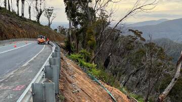 Tree removal will be taking place along a section of the Kings Highway on the Clyde Mountain next week. Photo supplied.