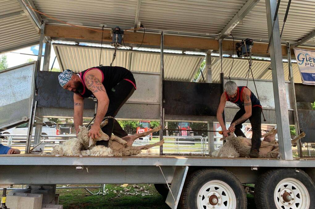 The Taralga Show quick shear on Sunday, March 10 has drawn entries from across the region. Picture supplied.