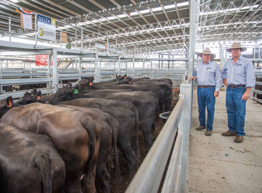CHAMPION PRESENTED PEN OF COWS: Bill & Cam, Delta Agribusiness sold this Champion pen of 21 Angus x Cows (7yo, Onslow Blood Cows. PTIC to KO Angus, to commence calving in August) on behalf of Tony Assi, Harissa P/L, Bookham for $1170ph.