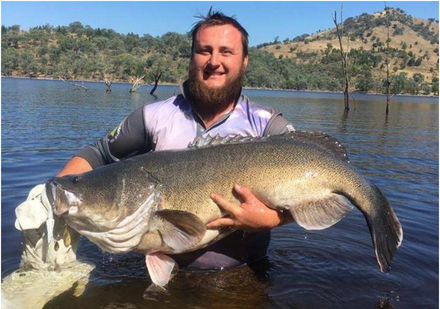 MONSTER: Zacc Broderick showing good practice in getting in the water with his fish, a massive 121 centimetre Murray cod caught last week. Photo: courtesy of Facebook
