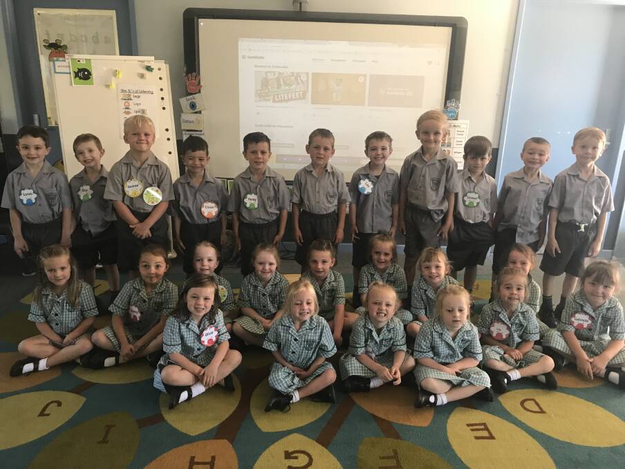 The new 2018 kindergarten class of St Mary's Primary School have settled into their classroom ready to learn. Photo supplied.