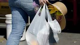 Time to end the use of single-use plastic bags