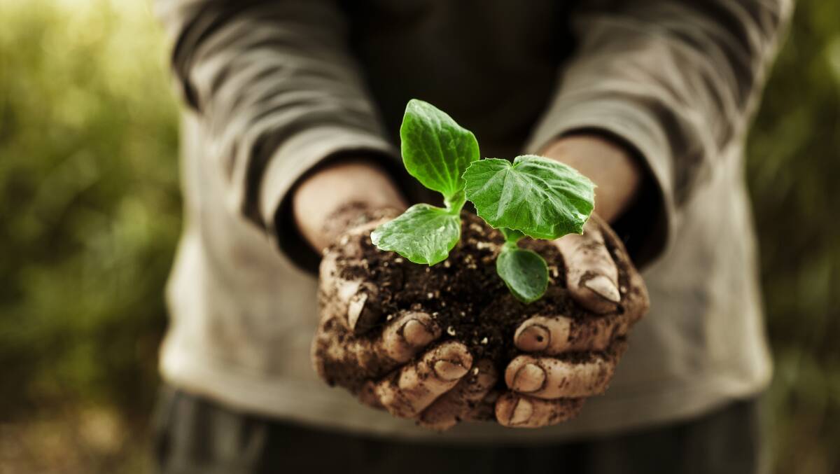Anybody who grows plants should have a reverence for soil. Picture: Shutterstock