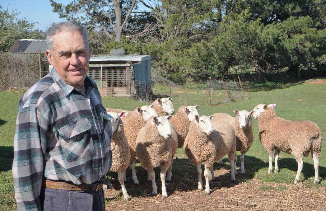 On-farm: Lionel Evans will sell 35 Border Leicester rams off Cuddyong at Bannister if conditions are favourable. Photo: Clare McCabe