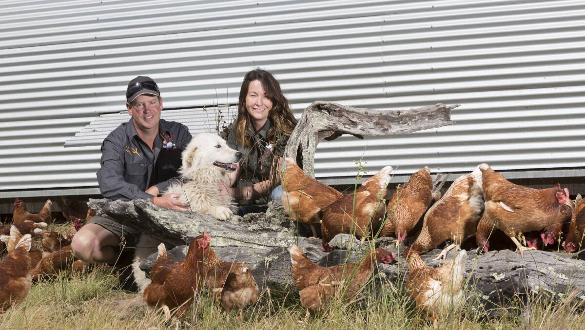 New life: Craig and Theresa Robinson were recognised in 2018 for responsible farming. Photo: Bum Nuts Australia.
