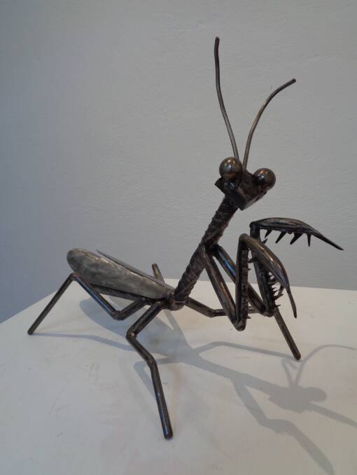 “Praying Mantis” sculpture by Cameron Bell acquired by the Crookwell Art Gallery for its permanent collection.