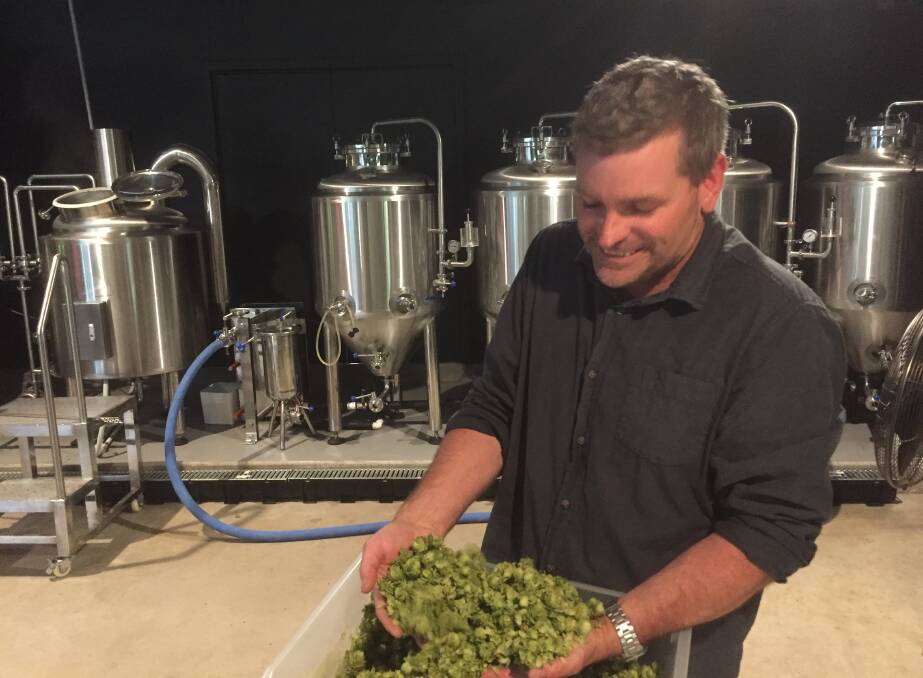 Brewer Evan Marler with a sample of Cascade hops from Lost River. Photo: Clare McCabe