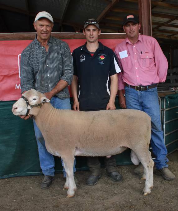 2017 Pinewalla Sale: Kim Weir, holds $3600 top price ram who sold to Scott Madden, Glenwood Park Poll Dorset, with Elders Crookwell agent, Daniel Tarlinton. Photo first appeared in The Land.