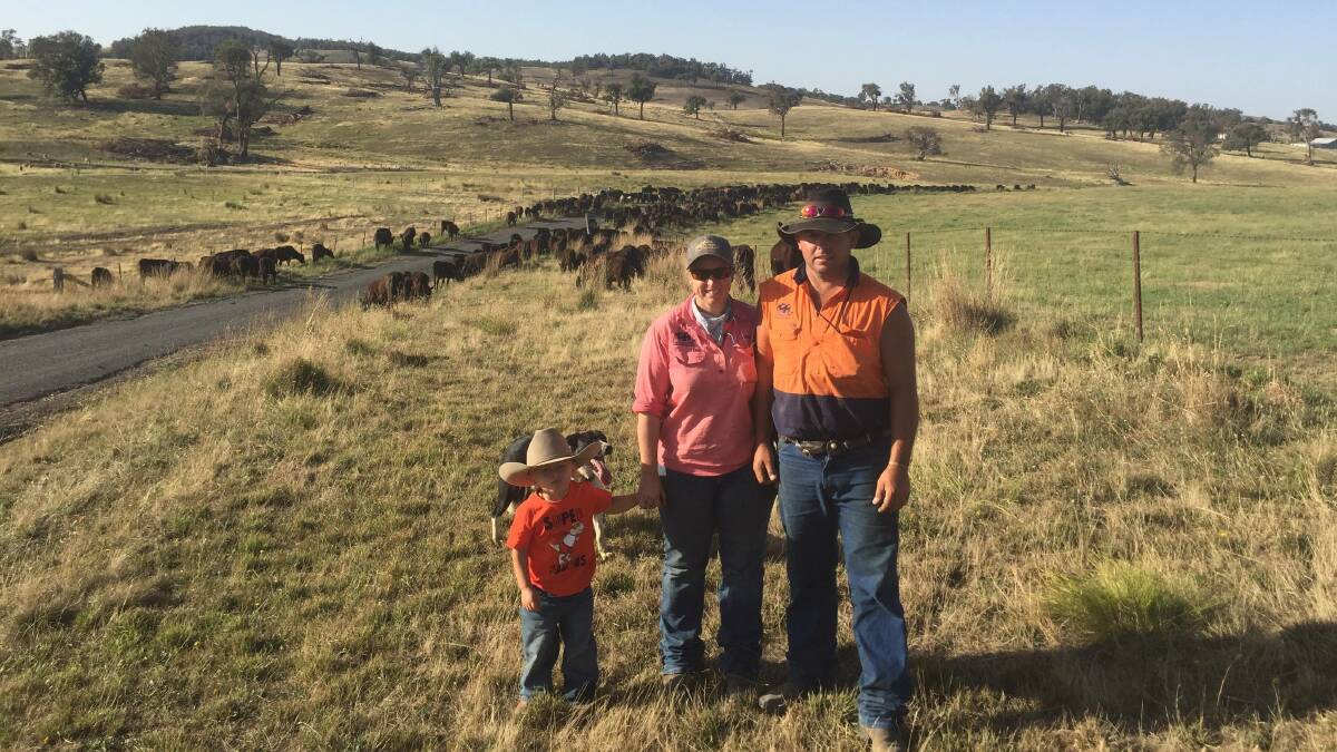 Long paddock closed: Jodie Mitchell and Brian Glendinning (with Cooper, 2) were given a week by Local Land Services to move the mob out. Photo: Clare McCabe