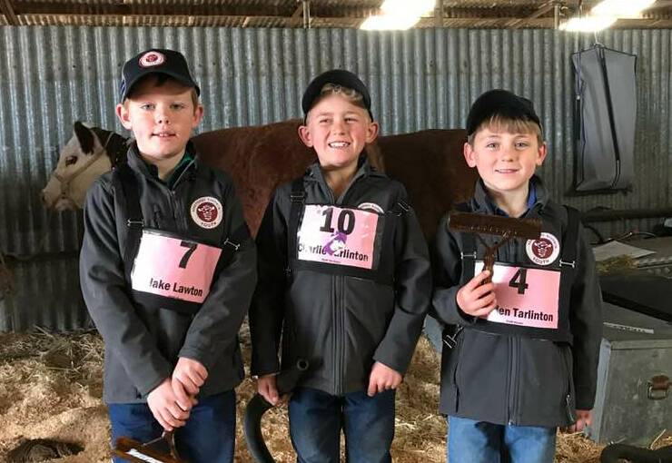 Hereford youth: Jake Lawton (6), Charlie Tarlinton (8), and Hayden Tarlinton (6) participate in their first Herefords Australia National Youth Expo. Photo: Liz Ikin
