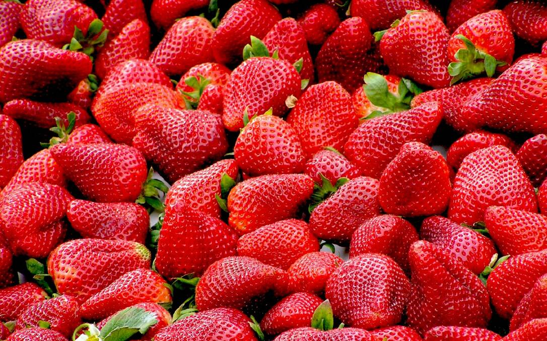 Crookwell IGA is not stocking contaminated strawberries. Photo Pixabay.