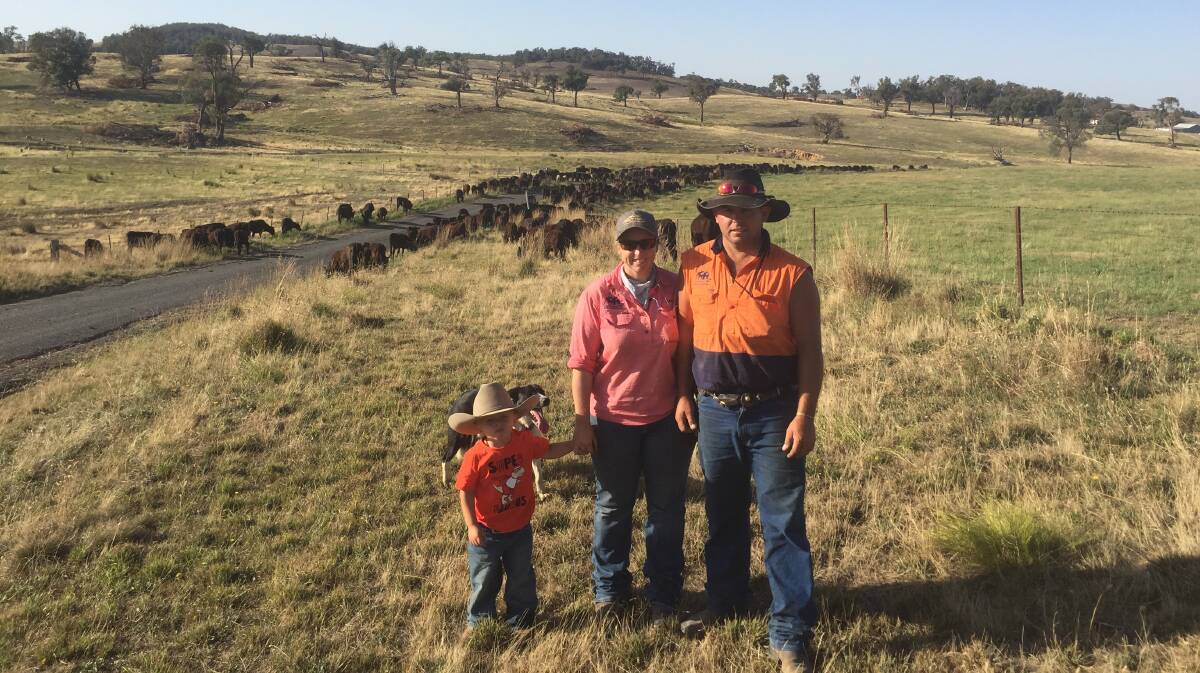 TSR closed: Jodie Mitchell and Brian Glendinning (with Cooper, 2) have been given a week by the LLS to move the mob out. Photo: Clare McCabe