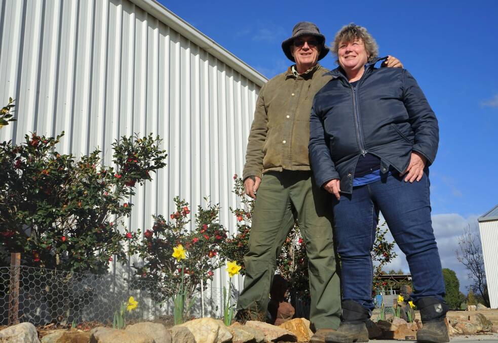Winter gardens: Rod Hoare and Helena Warren don't recall daffodils flowering in mid-winter. 