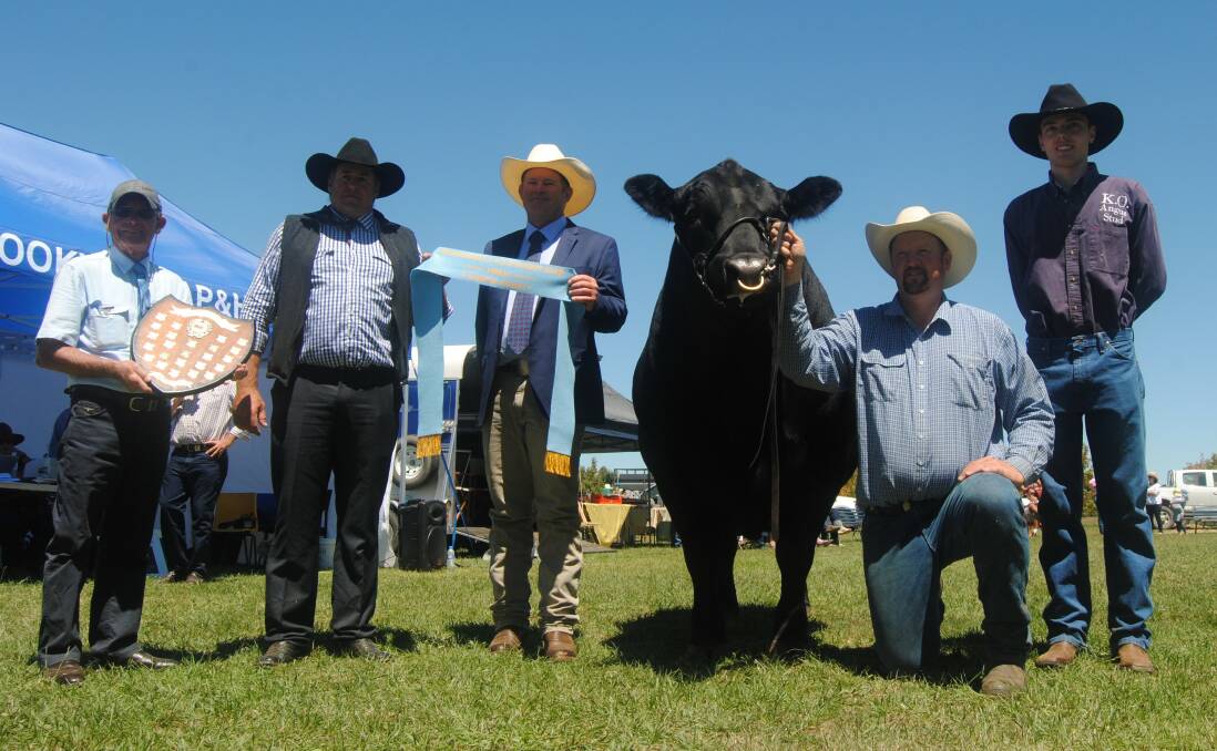 Supreme exhibit: Paul Anderson, Nick Job, Glenn Trout, the winning bull is held by Tim Lord, K.O. stud manager and Angus Onisforou.
