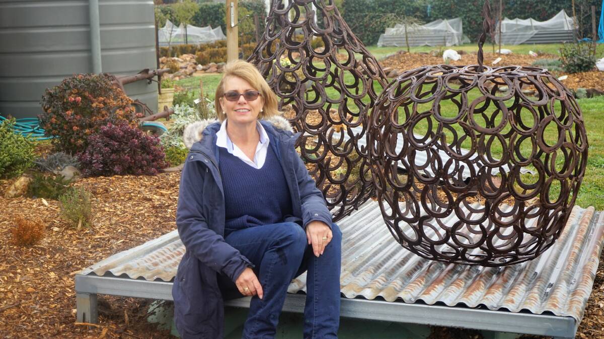 Open gardens: Mireille Turner's garden at 'New Day Limousin', Crookwell will open as part of the Crookwell Garden Festival. Photo: Clare McCabe.