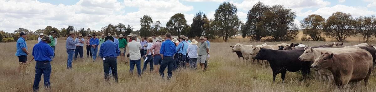 "Cadfor" Binda will host a pasture production workshop, March 5. Photo supplied.