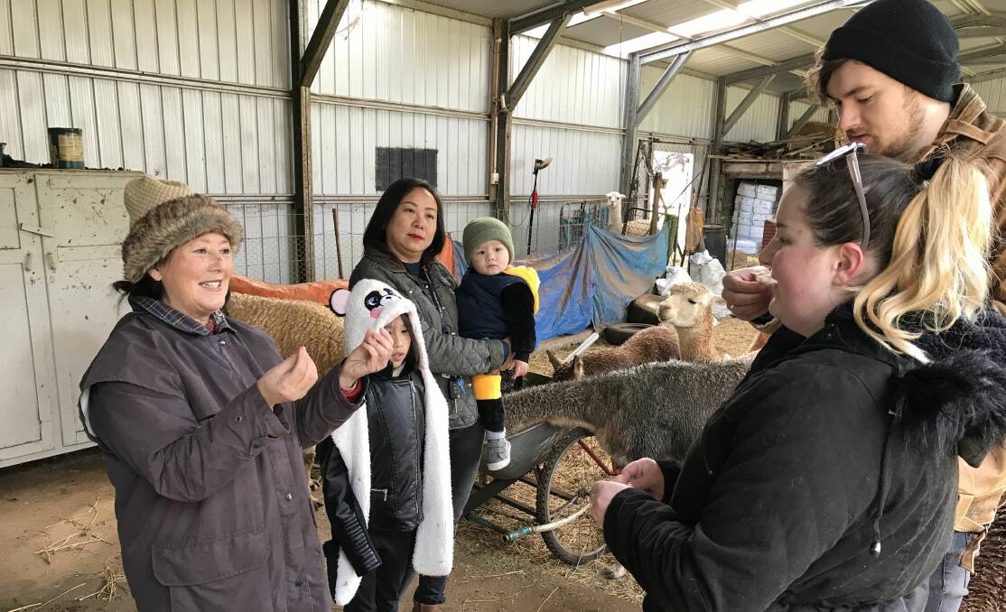 FASCINATING: Learning all about alpaca fibre from alpaca expert Susan Reynolds are Andrea Cao, Margaret Cao, Jasper Holmes, and Marina and Russell Lawrie.