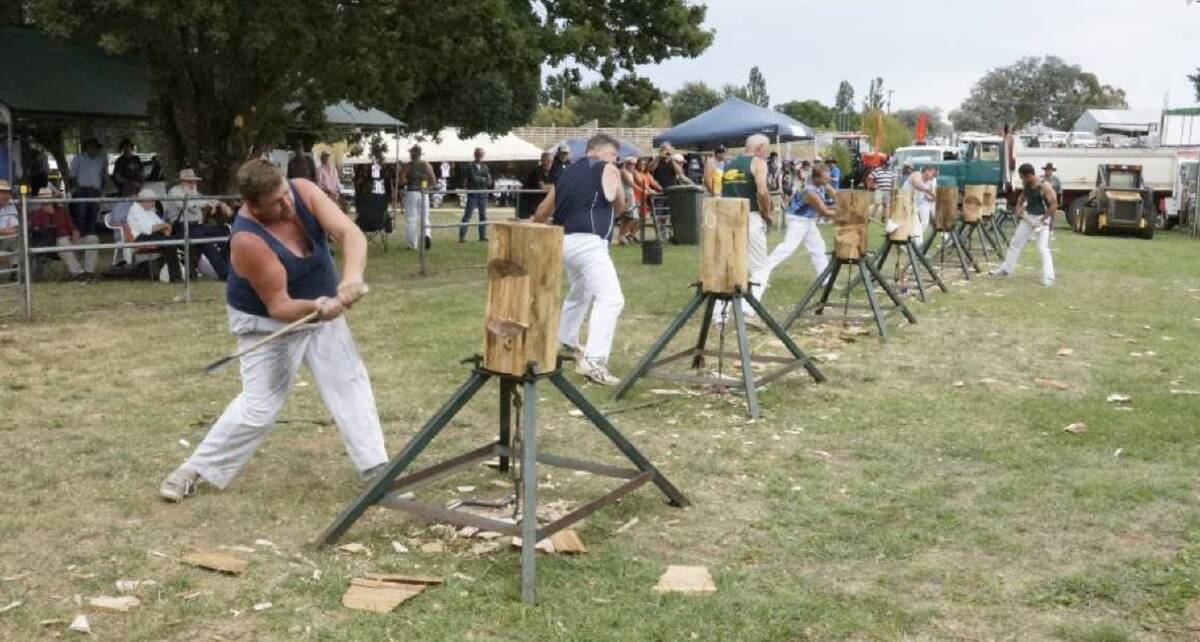 Chopping: This weekend's show will feature a number of exciting events, including a woodchopping contest between New Zealand South Island and NSW on Sunday. Photo: Paul Anderson.
