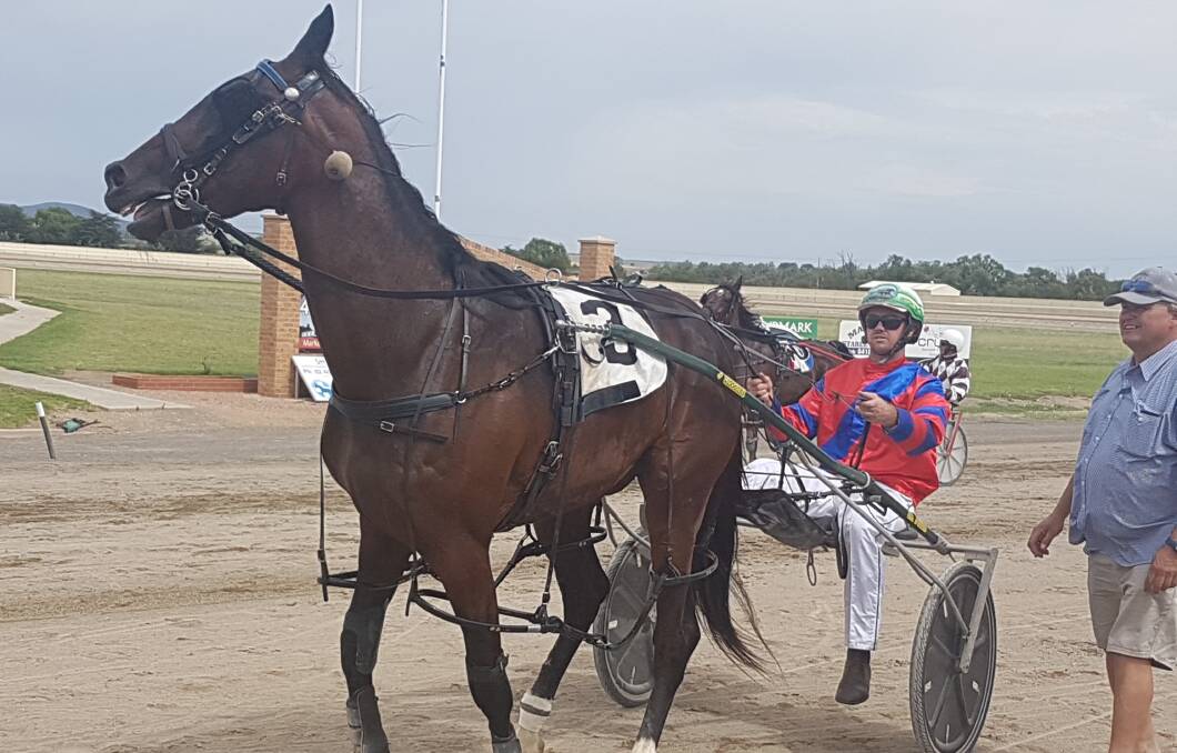 Winning streak: Boyd Writer will look to continue his good form in this weekend's Hewitt Memorial race day at the Goulburn Paceway, where he will be racing for a $10,000 prize. Photo: Mark Croatto. 