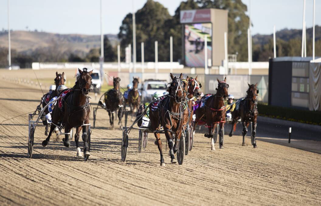 The home stretch: Brad Hewitt drives Rockin Marty to a first-place finish at the Menangle Club on Sunday afternoon. Photo: Ashlea Brennan.