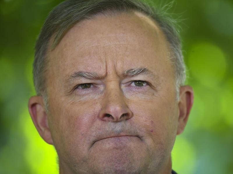 A construction union official is calling for Labor to dump Anthony Albanese as leader.
