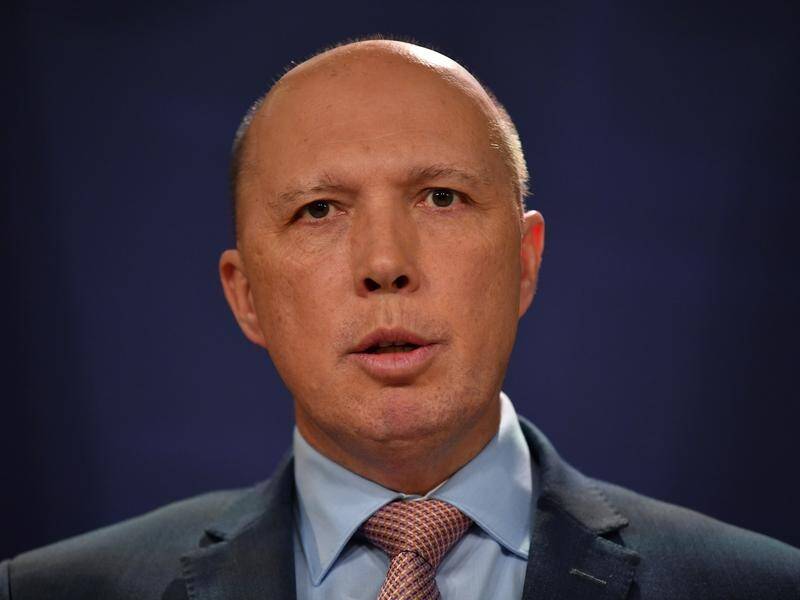 Peter Dutton says Malcolm Turnbull offered him the deputy leadership during the leadership spill.